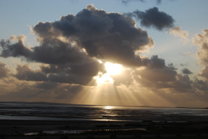 Op het wad