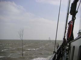 Wantij achter Langeoog