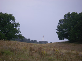 Hiddensee, Dornbush