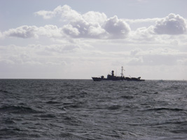 Frettchen (Schnellboot)