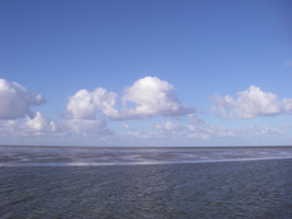 Terschelling